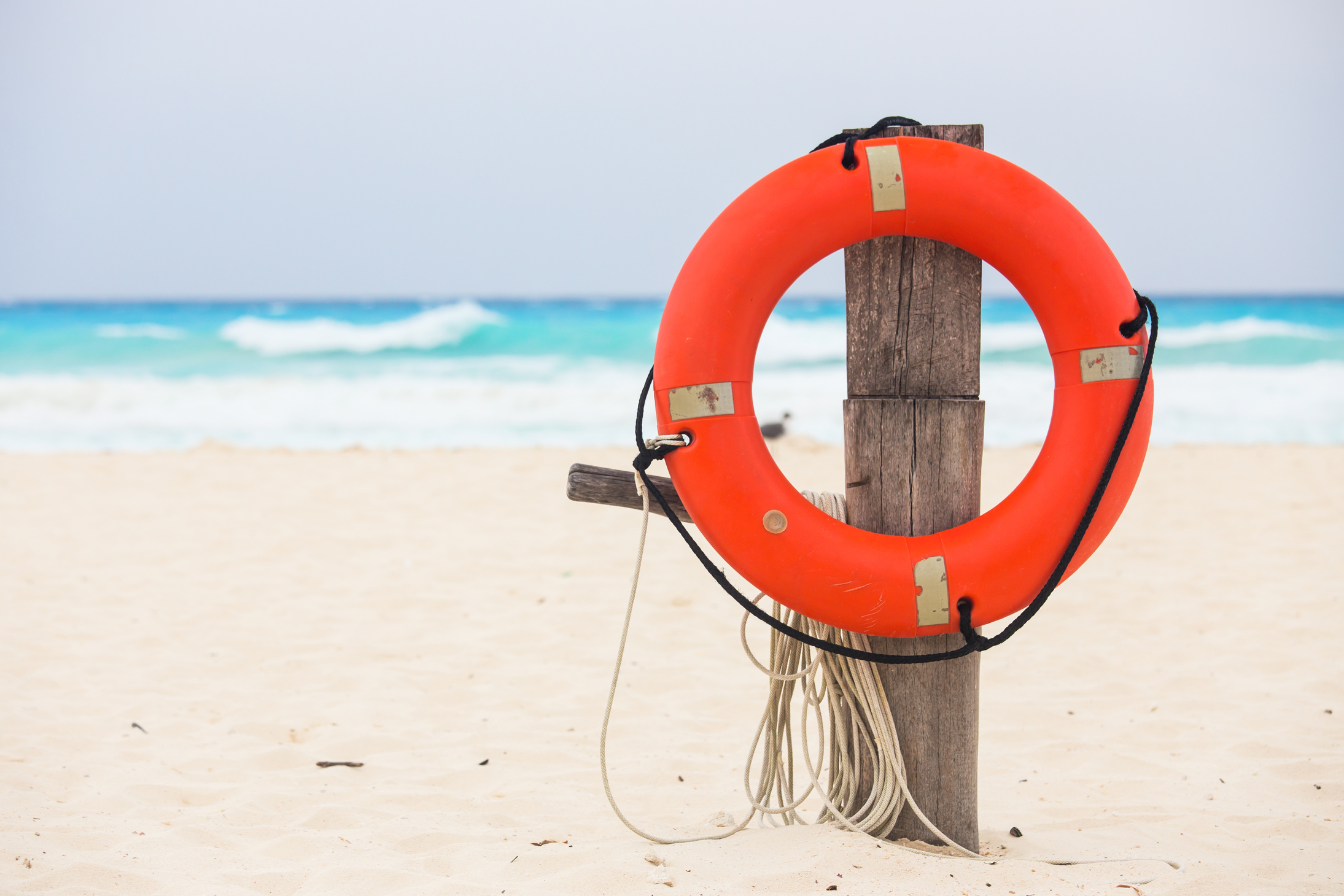 Life buoy