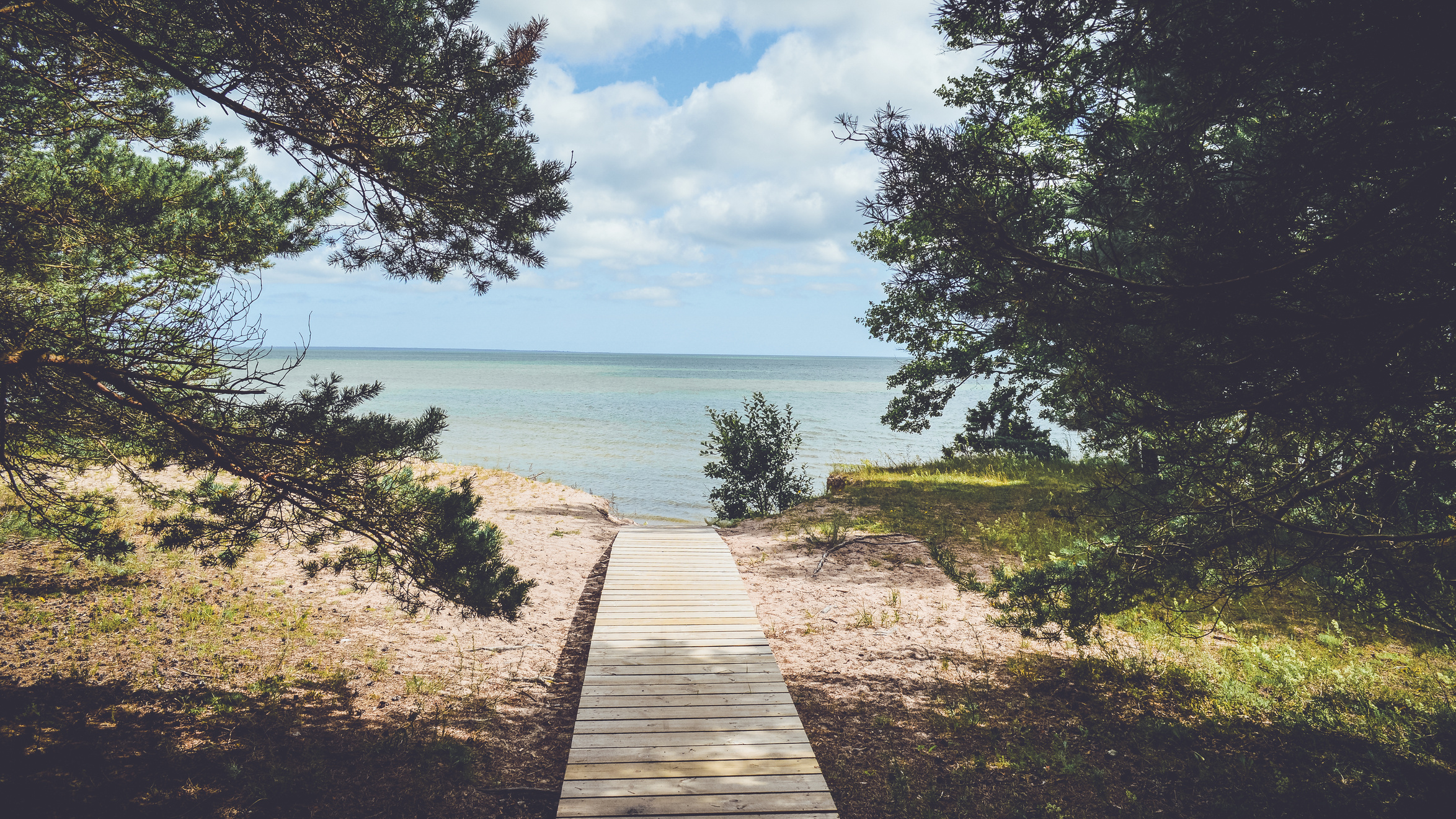 Path Leading to Sea